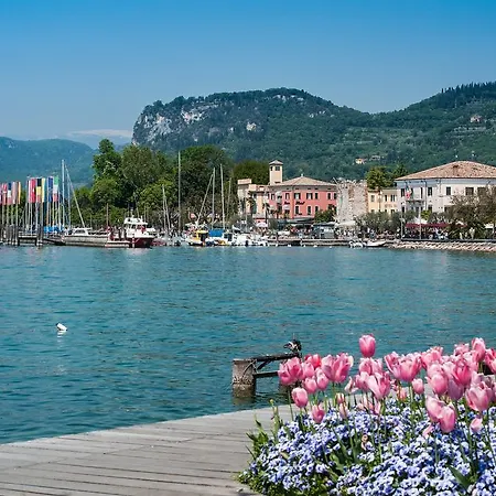 Primavera バルドリーノ