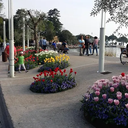 Primavera Daire Bardolino